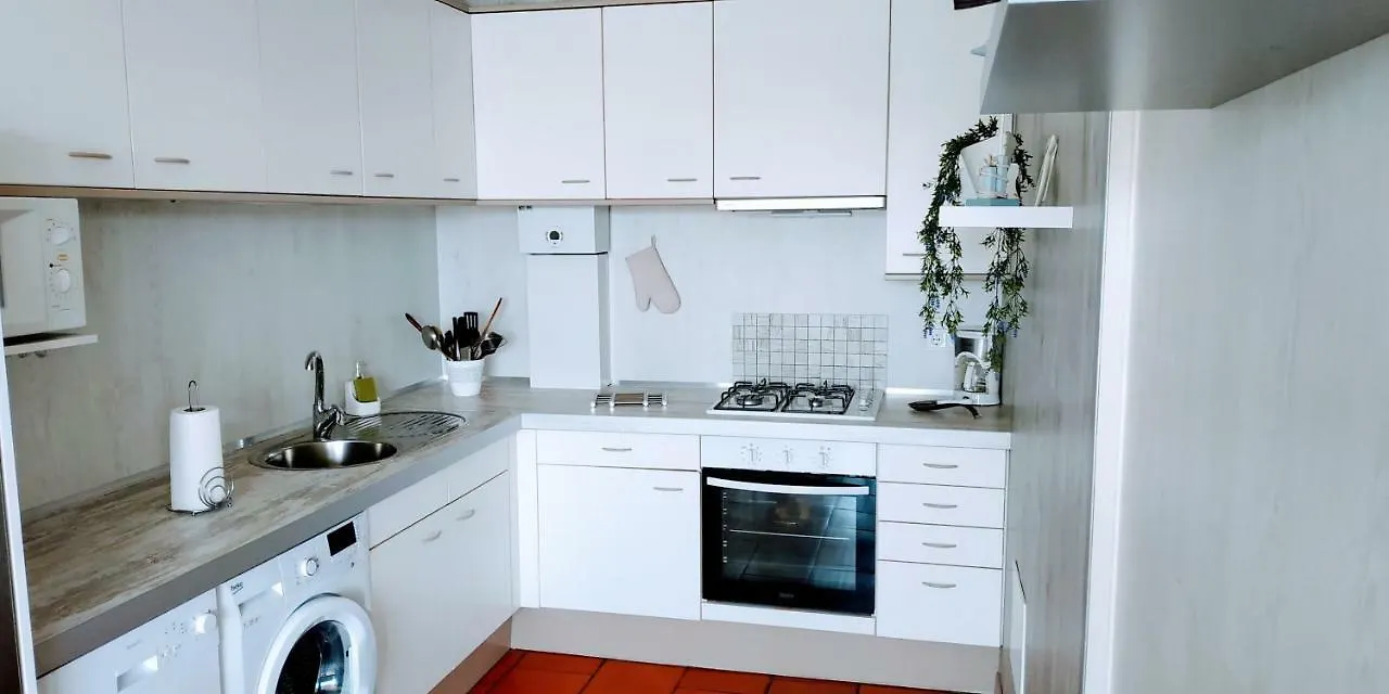 Apartment R. Teixeira Da Mota
